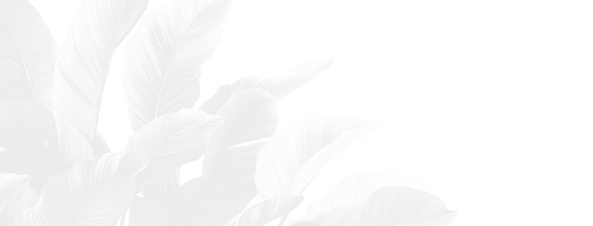 Swing Door Steel Cabinet